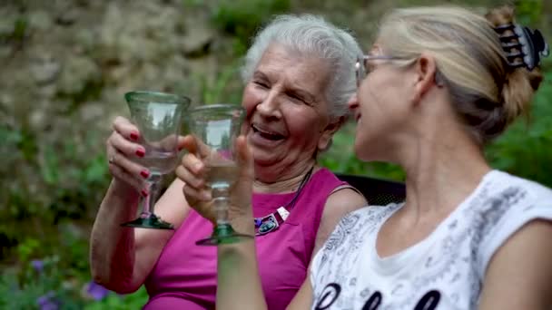 Elderly Woman Mature Woman Clink Glasses Cheers — Stock Video