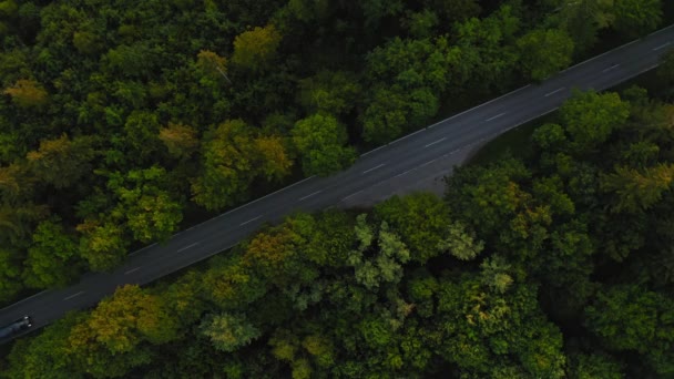 Aerial Top Shot Street Leading Forest While Car Passing Diagonal — Video Stock