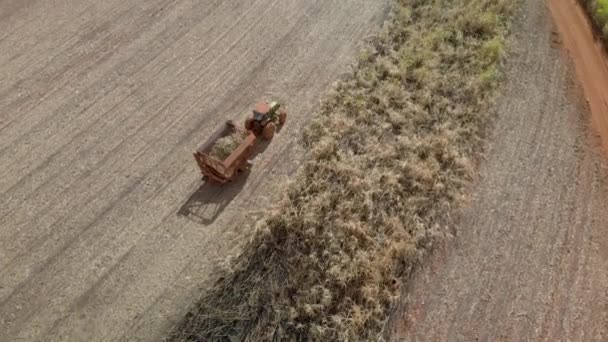 Closeup Variety Shots Showing Harvesting Machine Cutting Ripe Sugarcane Crop — ストック動画