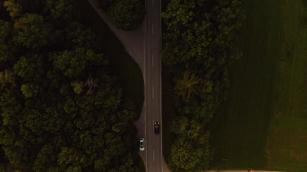 Rising Shot Drone Street Forest While Car Passing Camera View — Stockvideo