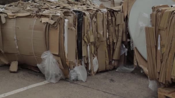 Cardboard Waste Wide Stacked Bales Wide Panning Shot — Video