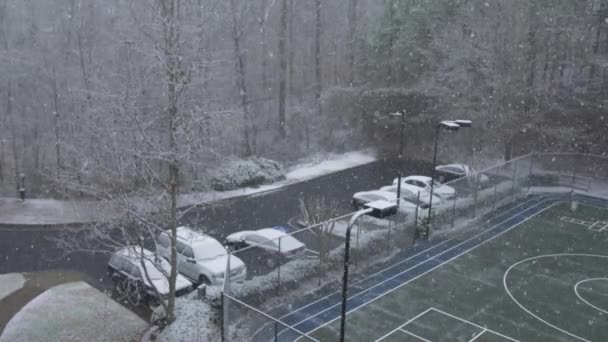 Snowing Vehicles Parking Lot Forest Woodstock Georgia Slow Motion — 图库视频影像