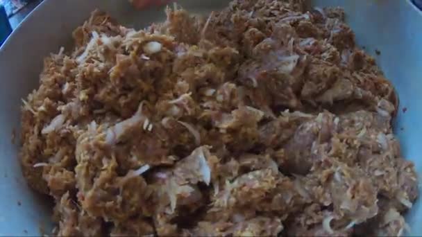 Close View Mince Meat Onions Spices Casserole Pan Being Kneaded — Stock Video