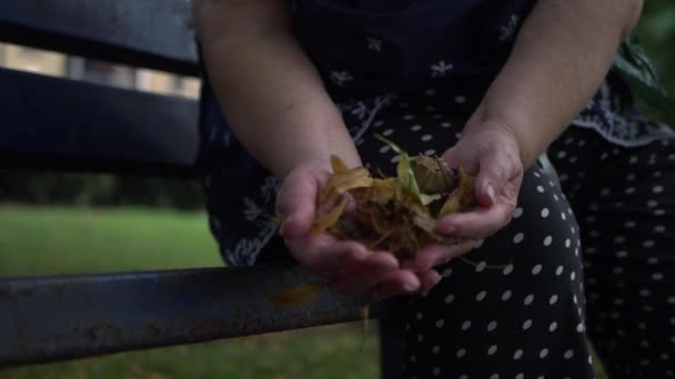 Žena Držící Podzimní Listy Lavičce Parku — Stock video