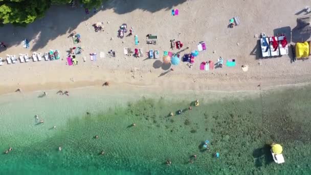 Aerial Top View People Swimming Sea Relaxing Beach — Wideo stockowe