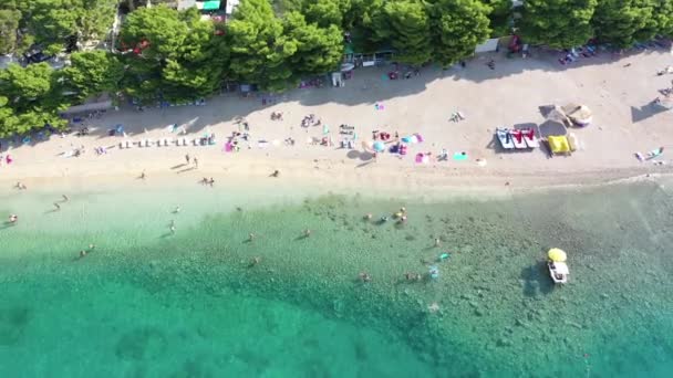 Aerial Top View People Swimming Sea Relaxing Beach — Vídeos de Stock