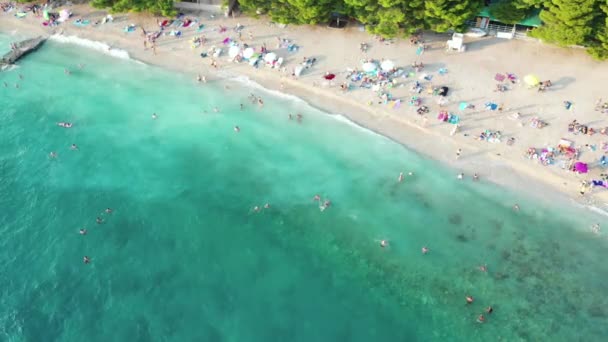 Aerial Top View People Swimming Sea Relaxing Beach — Vídeo de stock