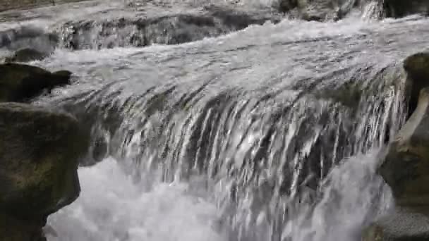 Fluye Arroyo Agua Clara Del Río Río Rápido Con Caída — Vídeos de Stock