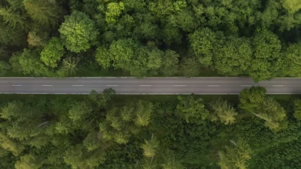 White Passenger Car Driving Street Green Forest Top Shot Drone — 图库视频影像