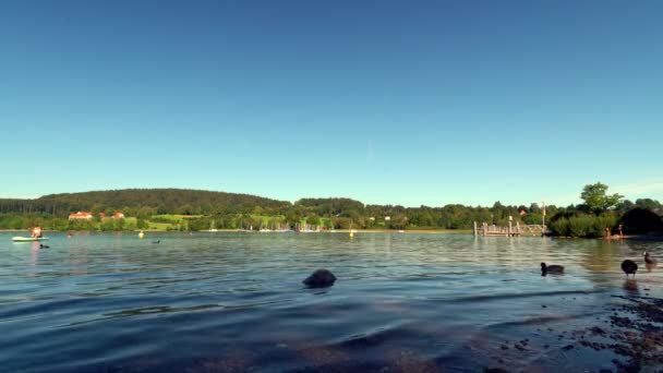 Idyllic Holiday Scenery Bavarian Tegernsee Summer Popular Lake Stand Paddeling — Video