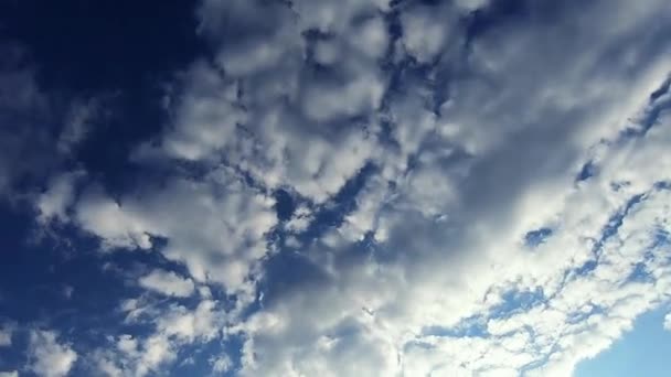 White Cumulus Clouds Moving Blue Sky Time Lapse Low Angle — Vídeo de stock