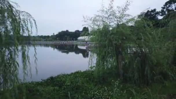 Walking Park Road Bucharest — Stockvideo