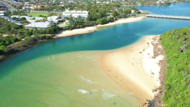 Tallebudgeera Creek Early Summers Morning Burleigh Headland — kuvapankkivideo