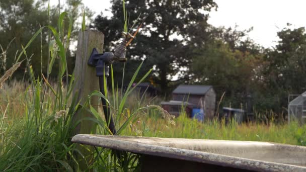 Rickety Faucet Tap Allotment Wide Shot — Wideo stockowe