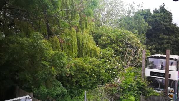 View Old Abandoned Bus Rural Woodlands — Vídeo de stock