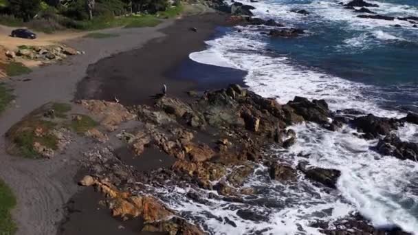 Aerial View Father Playing His Children Family Infiernillo Beach Black — ストック動画