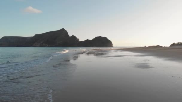 Exhilarating Flight Wet Sandy Beach Ocean Sea Waves Breaking Shoreline — Stockvideo