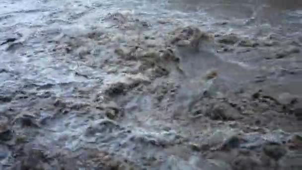Dirty River Muddy Water Flooding Period Heavy Rains — Stockvideo