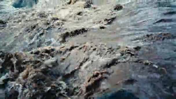 Dirty River Muddy Water Flooding Period Heavy Rains — Wideo stockowe