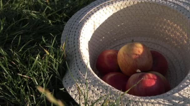 Ripe Red Apples Straw Hat Medium Panning Shot — Wideo stockowe