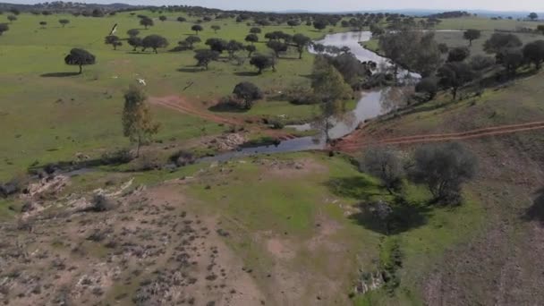 Closeup Beautiful Starks Flight River Lightly Forested Grassland — Stock Video