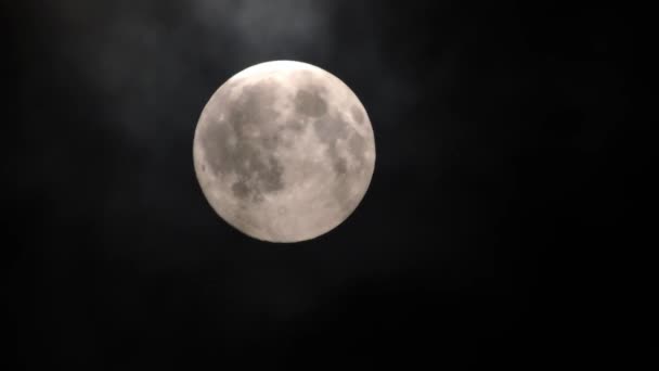 Clouds Passing Full Moon Real Time Shot Full Moon Night — Wideo stockowe