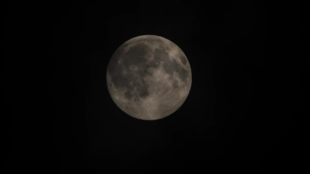 Clouds Passing Full Moon Real Time Shot Full Moon Night — Video Stock