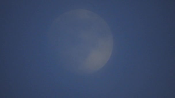 Clouds Passing Full Moon Real Time Shot Full Moon Night — Vídeo de Stock