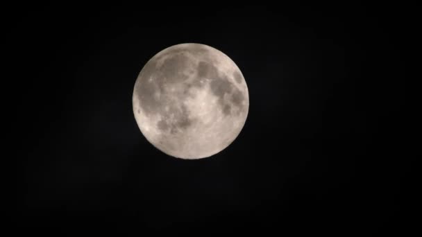Хмари Проходять Повний Місяць Режимі Реального Часу Повний Місяць Вночі — стокове відео