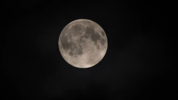 Clouds Passing Full Moon Real Time Shot Full Moon Night — Stock Video