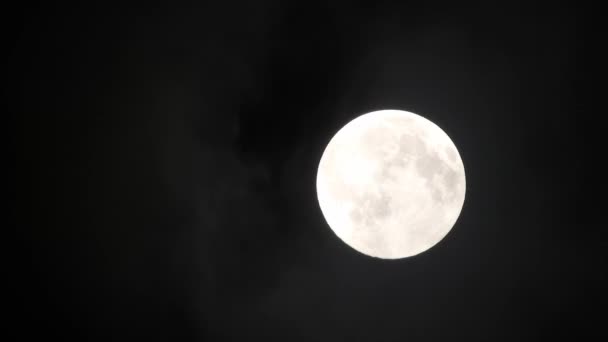 Clouds Passing Full Moon Real Time Shot Full Moon Night — Vídeo de Stock