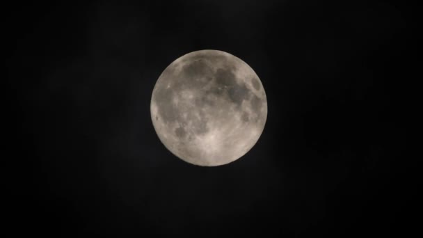 Облака Пролетают Мимо Полнолуния Реальном Времени Полная Луна Ночью Облаками — стоковое видео