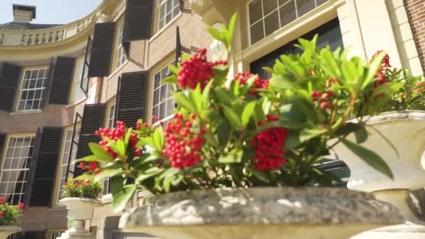 Rotating Close Plants Reveal Front Entrance Groeneveld Castle — Stock video