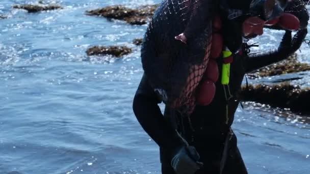Suyun Altındaki Balıkçı Dalgıcı Güneşli Bir Günde Chile Maule Duao — Stok video