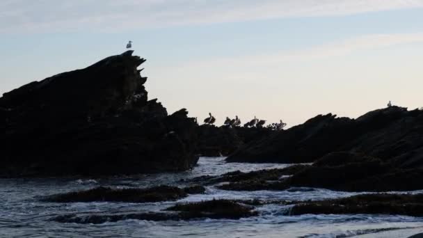 Sunrise Beach Calm Seashore Beach Duao Septima Region Chile Maule — Αρχείο Βίντεο