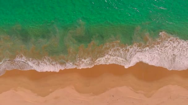 Drone Footage High Beach Acapulco Mexico — Stock videók