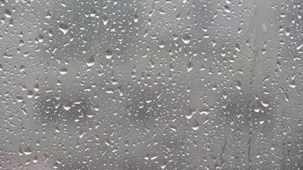 Rainy Weather Window Close Window Rain Drops Falling — Stock Video