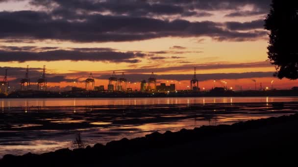 Illuminated Cranes Port Tauranga Tauranga Harbour New Zealand Sunset Golden — Video