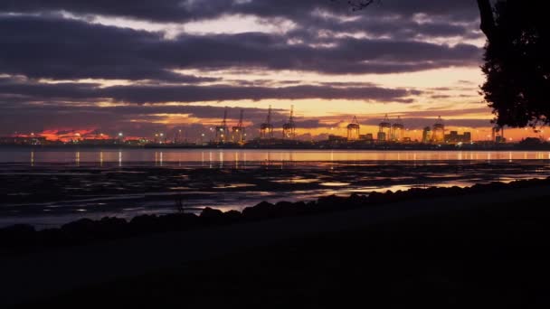 Large Cranes Port Tauranga Tauranga Harbor Golden Sunrise New Zealand — Stockvideo