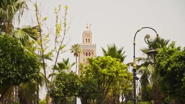 Distant View Minaret Koutoubia Mosque Tropical Plants Foreground — Video