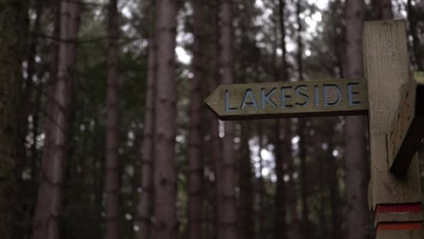 Ormandaki Ahşap Kırsal Tabela Geniş Açılı Gölü Işaret Ediyor — Stok video