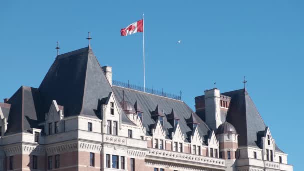 Wide Shot Roof Historical Building Canadian Flag Sunny Day Birds — Stockvideo