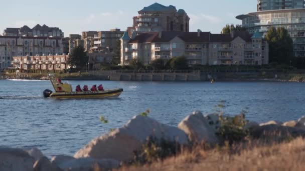 Yellow Whale Watcing Boat Passengers Crossing Frame Left Right Sunny — Vídeo de stock