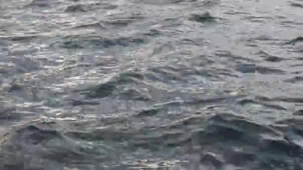 Close Water Surface Rippling Wind Static High Angle — Vídeo de stock