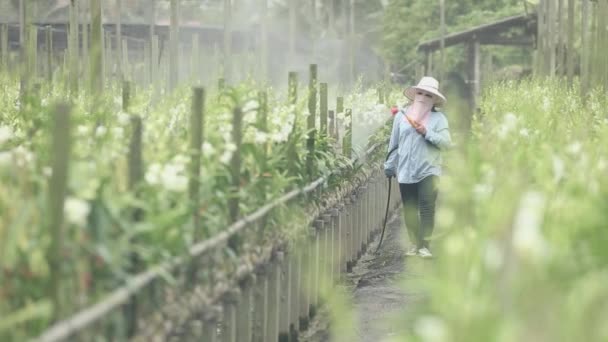 Farmer Spraying Fertilizer Orchid Farm — Vídeos de Stock