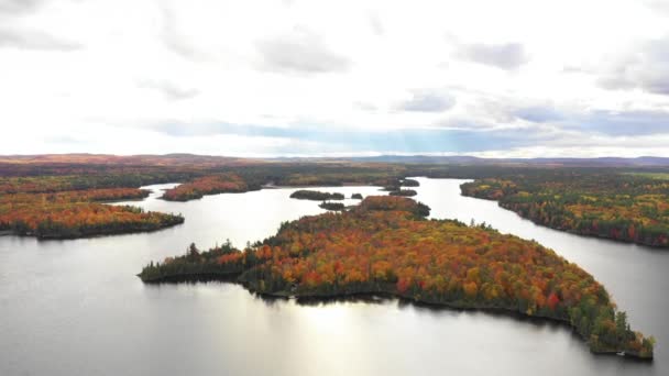 Island Lake Beautiful Fall Colored Trees — Stockvideo