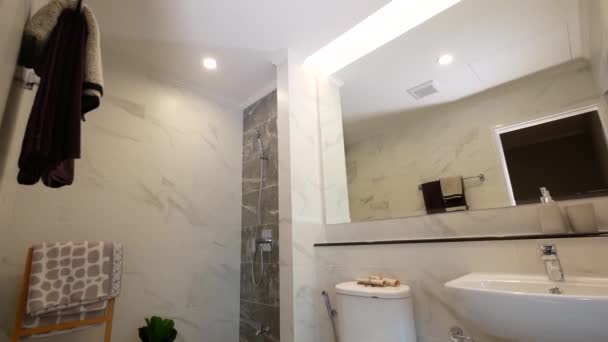 Clean Tidy Toilet Dcorated Marble Wall — Vídeo de stock