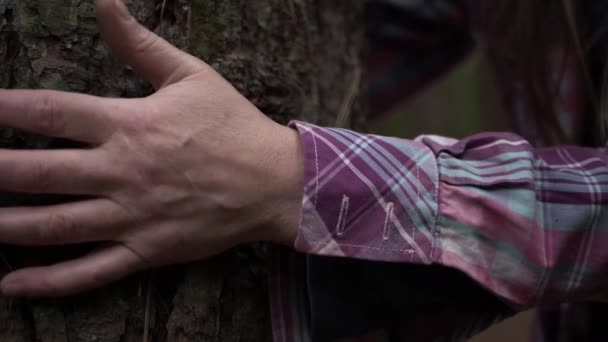 Woman Hands Tree Forest Close Shot — Stockvideo