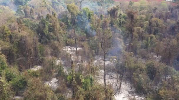 Burnt Area Vegetation Cerrado Campinas City Brazil — Stock Video