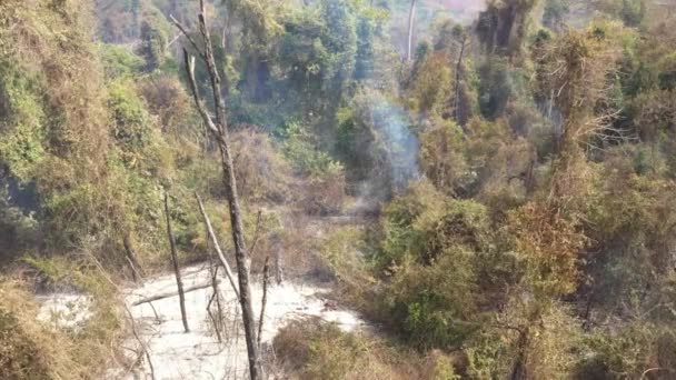 Green Vegetation Burnt Area Campinas City Paulo State Brazil — 图库视频影像